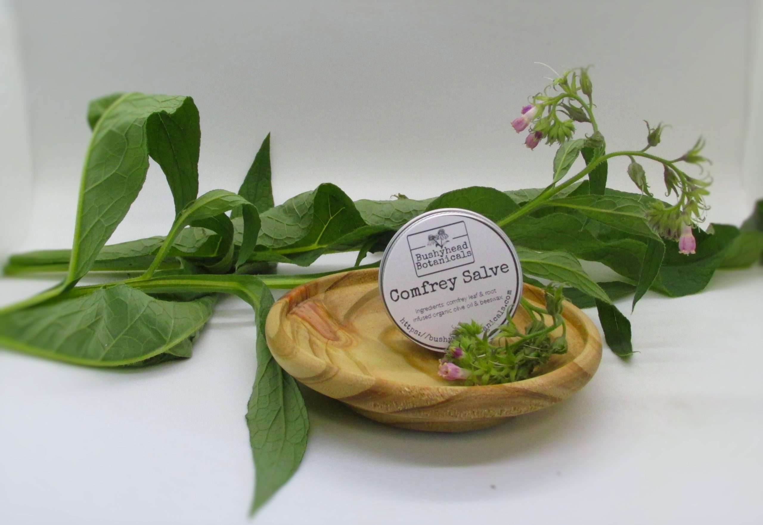 comfrey salve