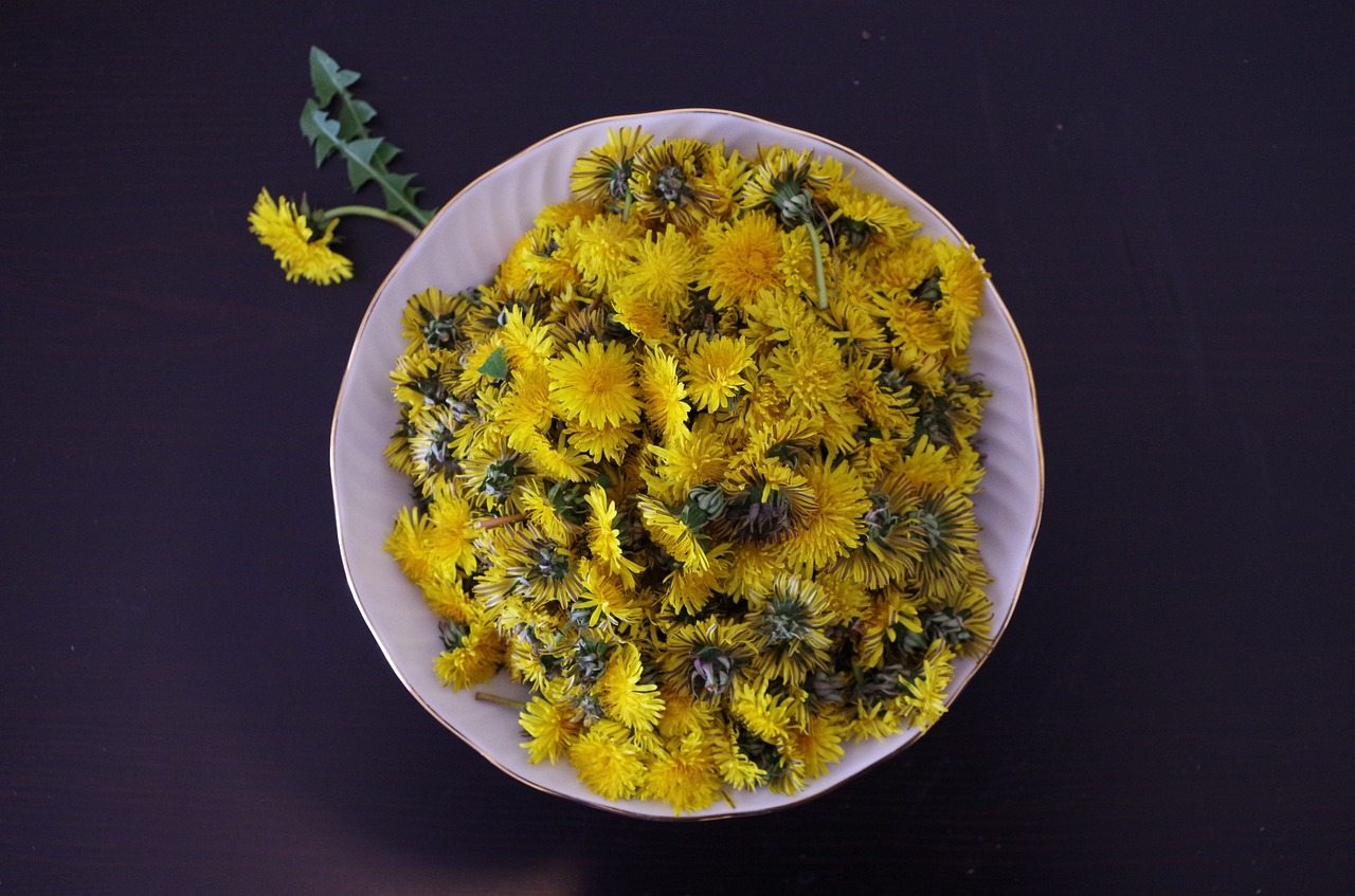 dandelion flower oil